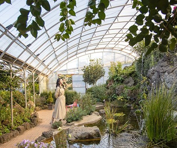 activity_detail_image