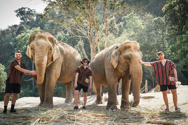 코사무이 코끼리 보호소 - 정글 생츄어리 투어