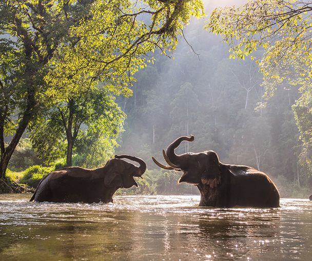 activity_detail_image