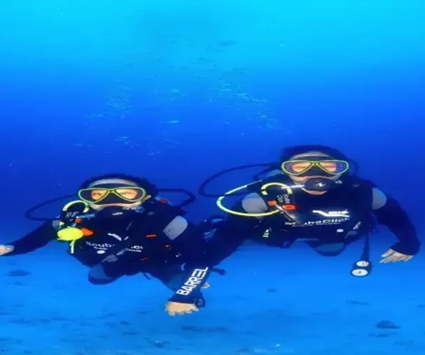 activity_detail_image