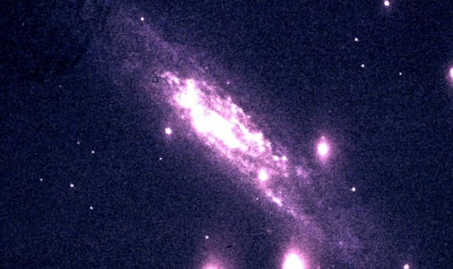 activity_detail_image