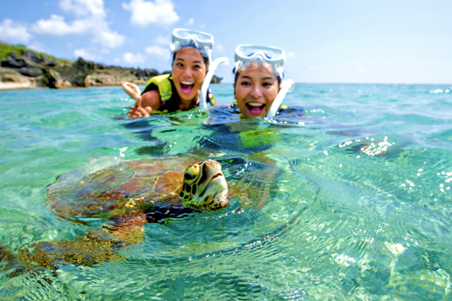 【宮古島発】宮古島感動体験!ウミガメと泳ぐシュノーケリングツアー