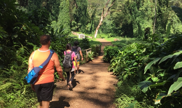 하와이 쥬라기 공원 촬영지 & 마노아 폭포 하이킹 투어