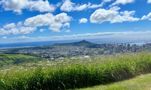 하와이 쥬라기 공원 촬영지 & 마노아 폭포 하이킹 투어