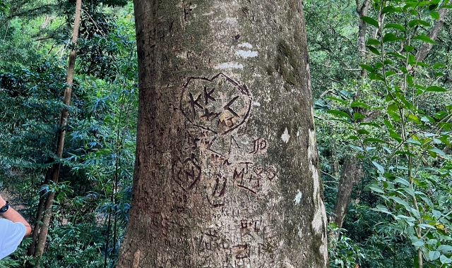 activity_detail_image