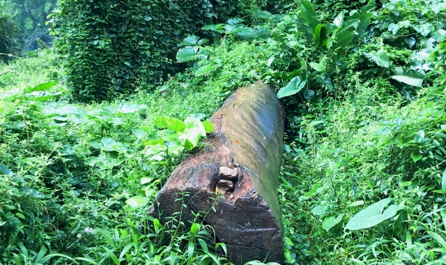 activity_detail_image