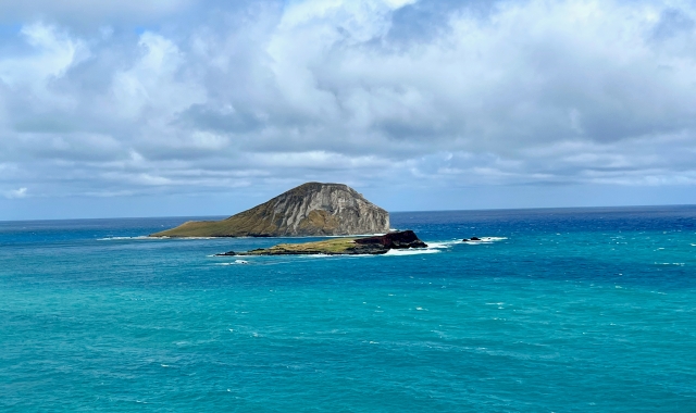 하와이 오아후 서클 아일랜드 투어 - 말라사다, 갈릭 쉬림프 포함