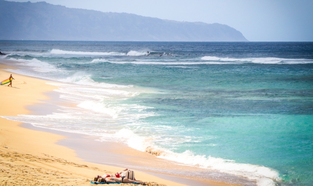 하와이 오아후 서클 아일랜드 투어 - 말라사다, 갈릭 쉬림프 포함