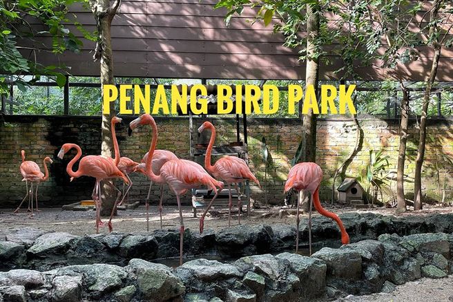 Penang Bird Park Ticket