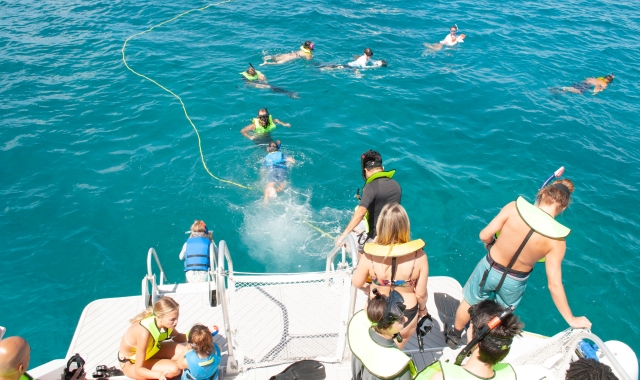 하와이 와이키키 거북이 스노클링 투어 (+음료 무제한/훌라/트롤리)