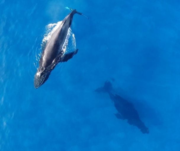 activity_detail_image