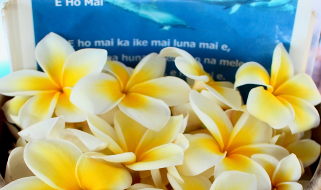 activity_detail_image