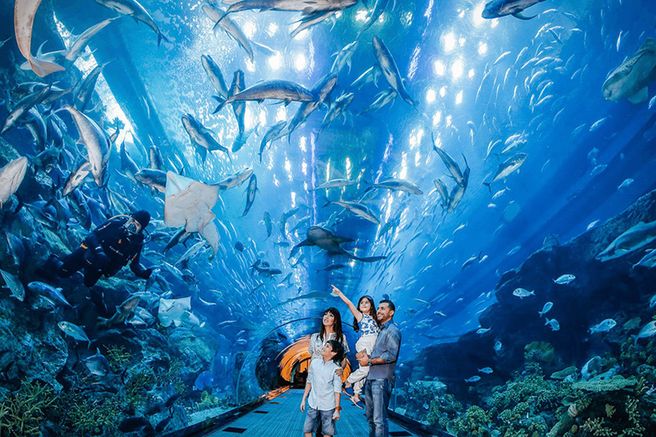 Hanoi Vincom Mega Mall Royal City VinKE & Aquarium Tickets