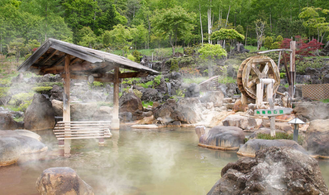 Hokkaido Jozankei Onsen Ticket & Jotetsu Bus 1-Day Pass