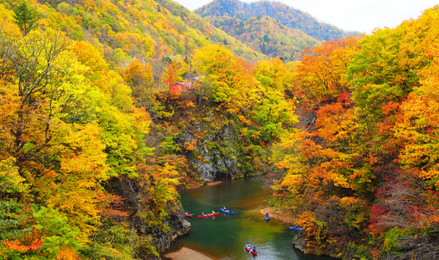 Hokkaido Jozankei Onsen Ticket & Jotetsu Bus 1-Day Pass