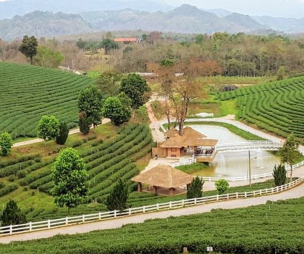 activity_detail_image