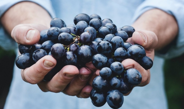 [스케치북] 치비타 디 반뇨레죠 & 피엔자 + 토스카나 와이너리 전용 차량 투어