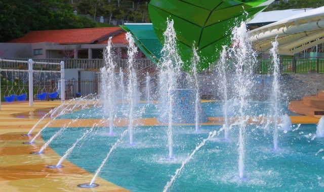 沖縄こどもの国 入場チケット