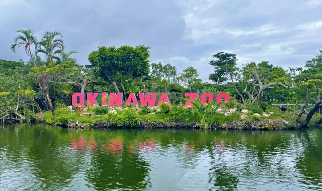 沖縄こどもの国 入場チケット