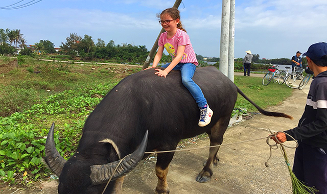 ホイアン・自転車で行くオーガニック農村単独プライベートツアー(ダナン出発)