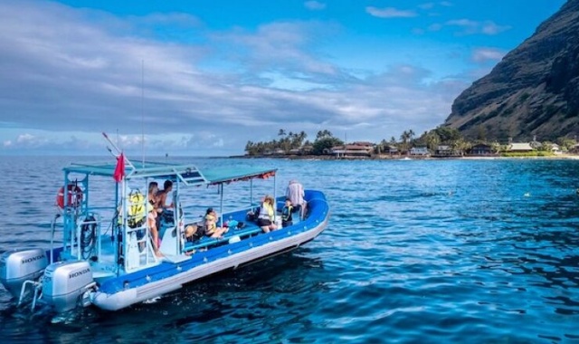 하와이 돌핀 스윔 & 스노클링 투어