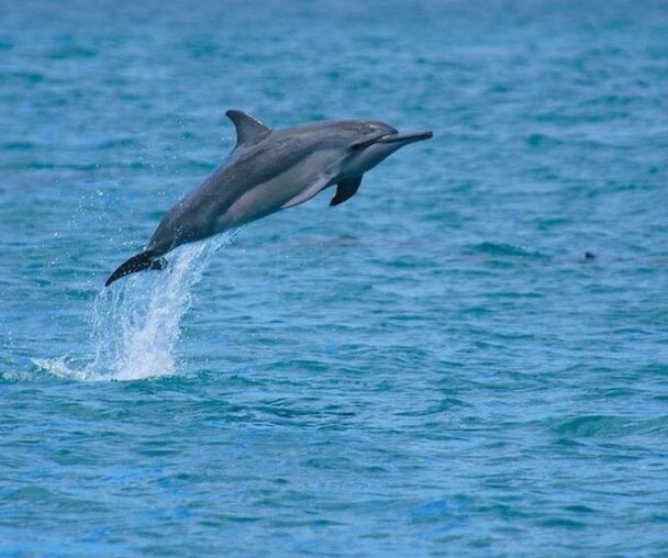 activity_detail_image