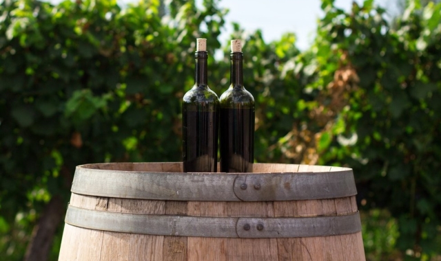 [스케치북] 시에나 & 산지미냐노 그리고 토스카나 와이너리 투어