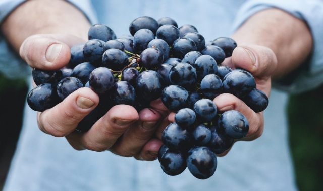 [스케치북] 시에나 & 산지미냐노 그리고 토스카나 와이너리 투어