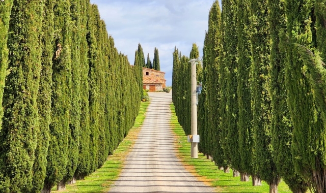 [스케치북] 시에나 & 산지미냐노 그리고 토스카나 와이너리 투어
