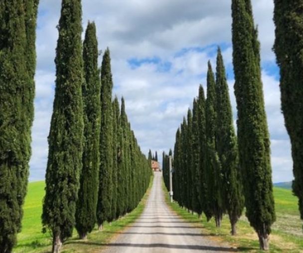 activity_detail_image