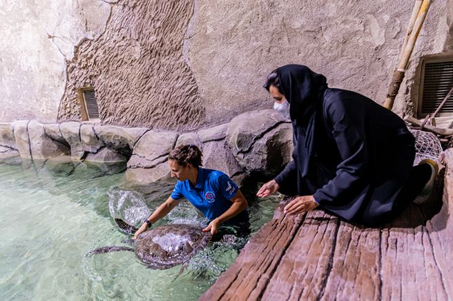 アブダビ国立水族館 VIPパッケージ入場チケット