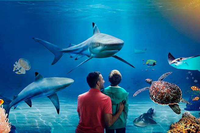 Manchester SEA LIFE Aquarium Ticket