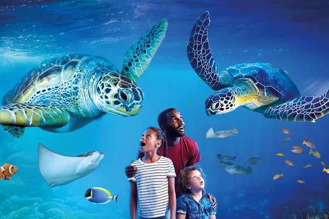 マンチェスター シーライフ水族館 チケット