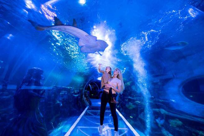 Birmingham SEA LIFE Aquarium Ticket