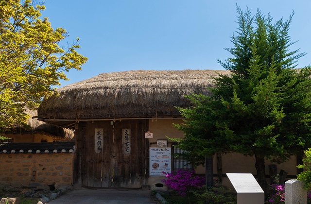 안동 하회마을 일일 버스 투어