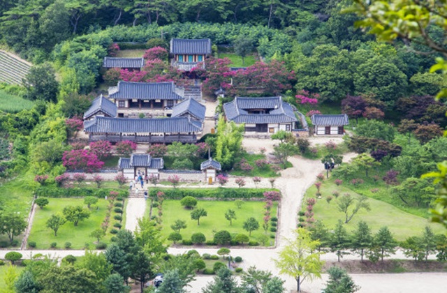 안동 하회마을 일일 버스 투어