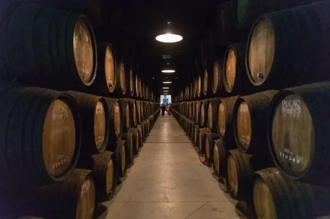 Porto Poças Wine Cellar Tour & Wine Tasting