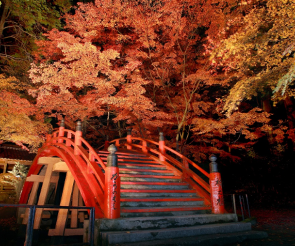 activity_detail_image