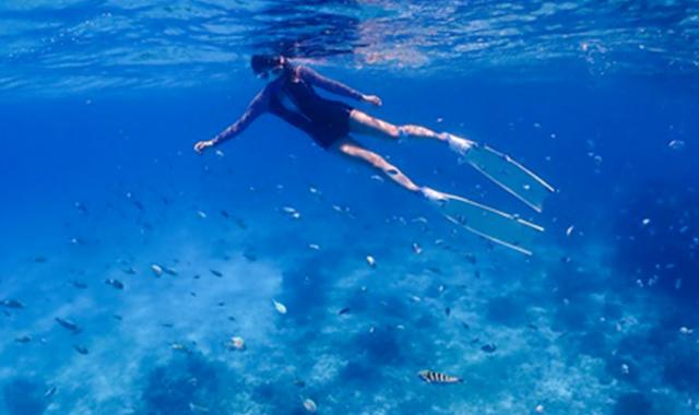 Bohol: Napaling Sardine Run Snorkeling Private Tour (with GoPro Underwater Filming)