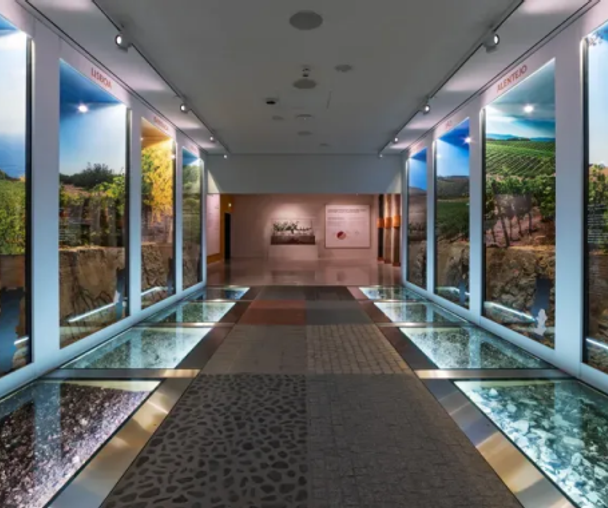 activity_detail_image