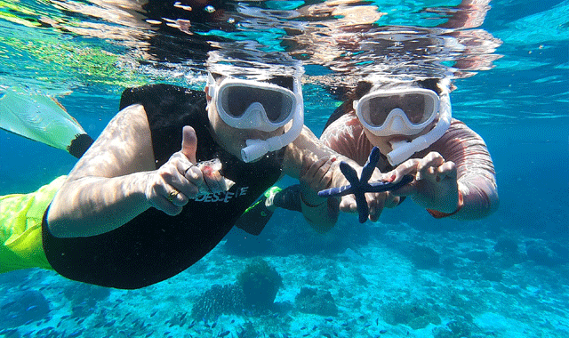 [렛츠고보홀] 보홀 발리카삭 거북이 열대어 오후 호핑 투어 (포인트 1회 추가, 고프로, 픽드랍, 짐보관, 간식)