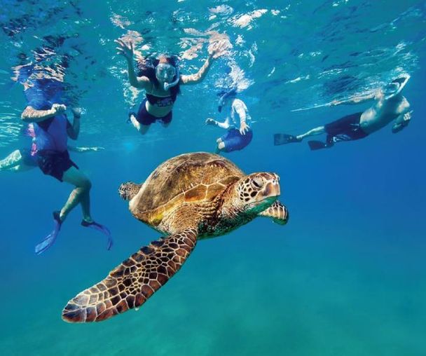 activity_detail_image