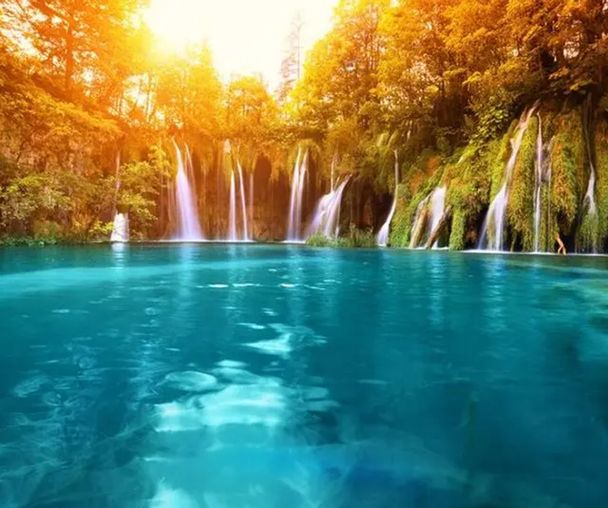 activity_detail_image