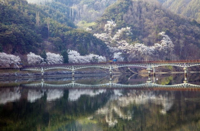 안동 봉정사 & 만휴정 권역 일일 버스 투어