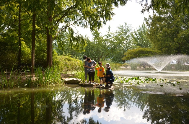 안동 봉정사 & 만휴정 권역 일일 버스 투어