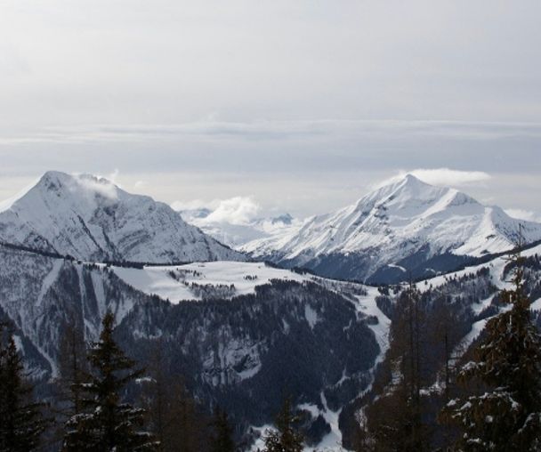 activity_detail_image