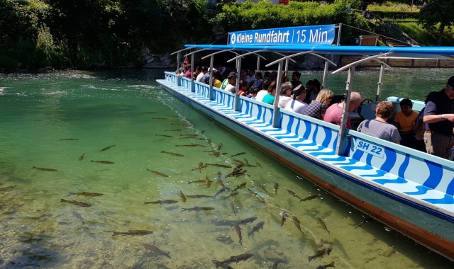 인터라켄 출발: 아레슐루트 & 루체른 & 라인폭포 하루 투어