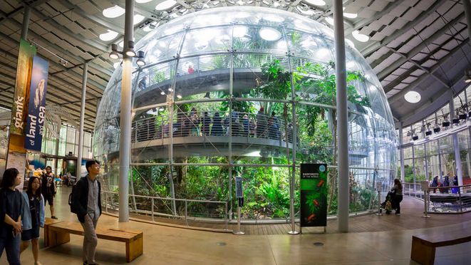 California Academy of Sciences Ticket in San Francisco