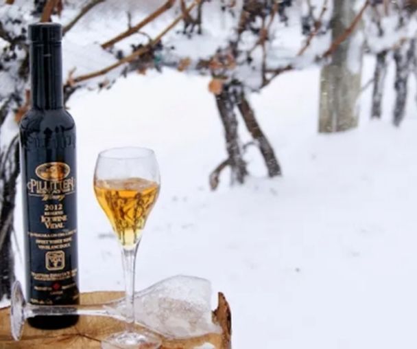 activity_detail_image