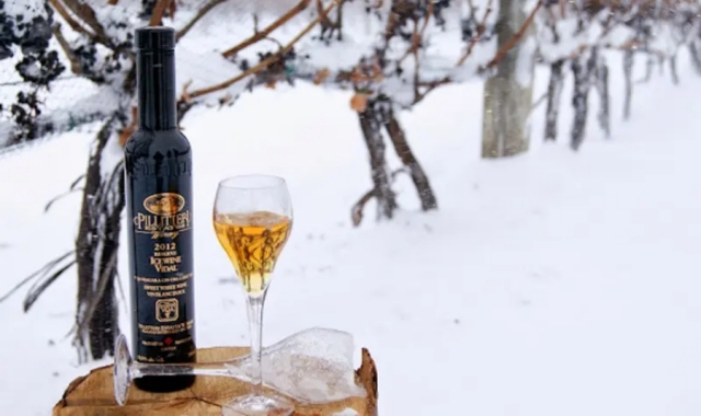 [팀온] 토론토 출발: 나이아가라 와이너리 일일 투어